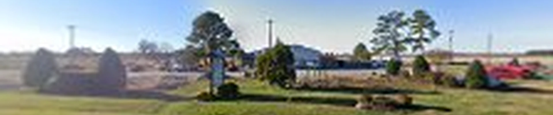 MD Landscaping LLC