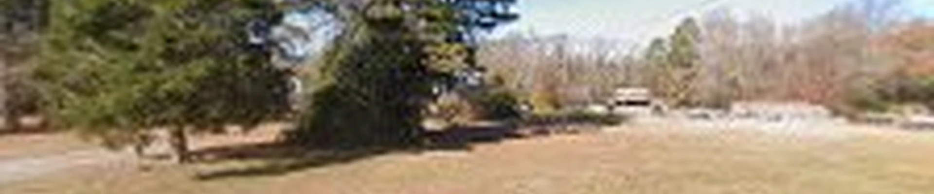 Custom Landscape & Design