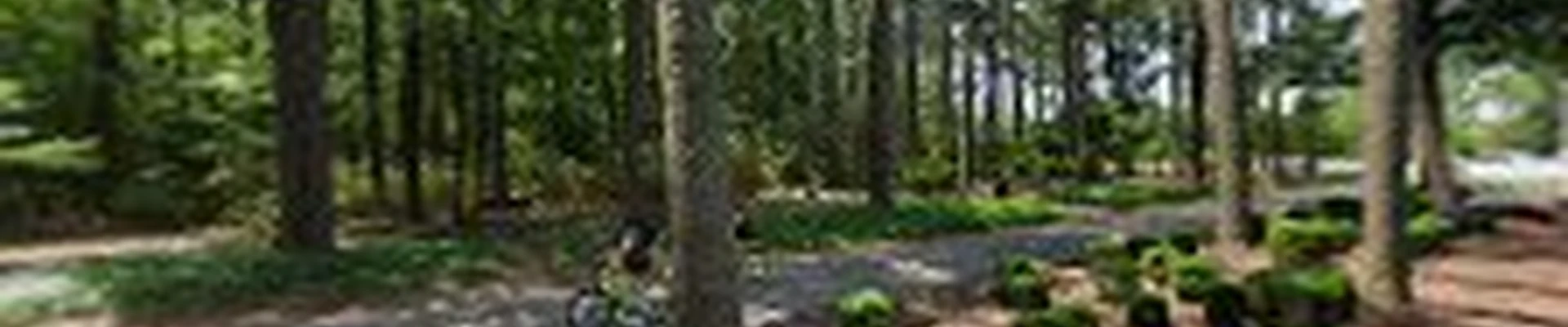 Miyazaki Japanese Garden