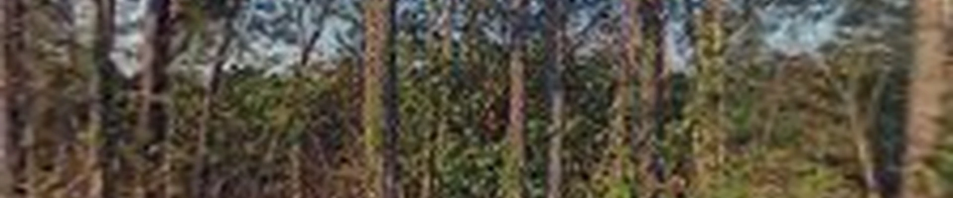L & W Outdoor Services LLC