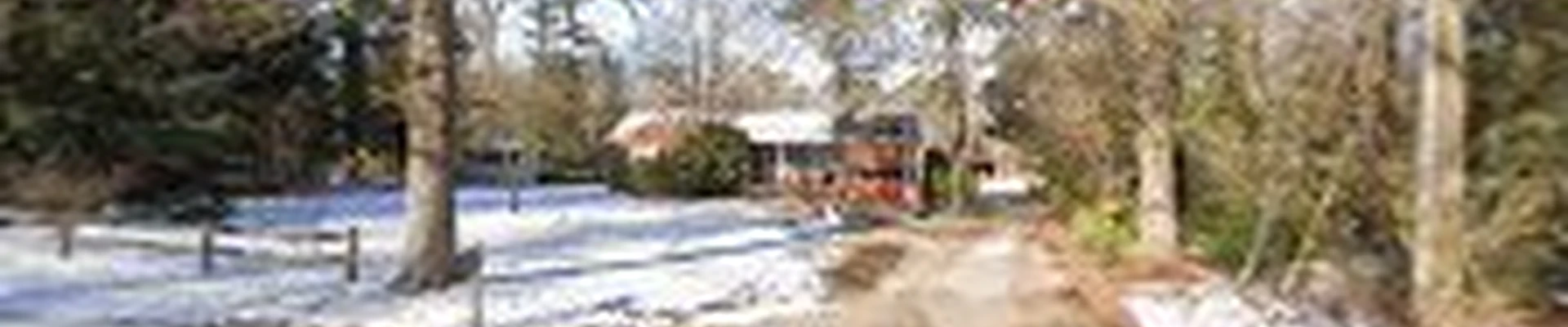 LG Scott Landscaping and Tree Service
