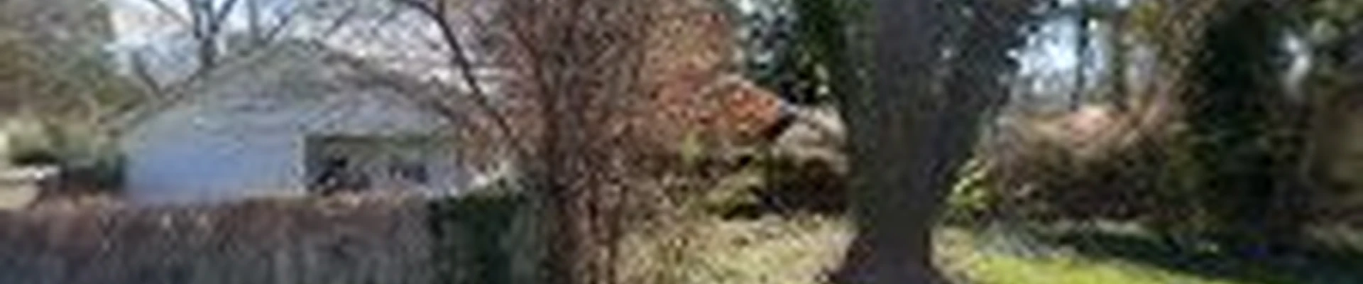 Kai’s Landscaping & Tree care