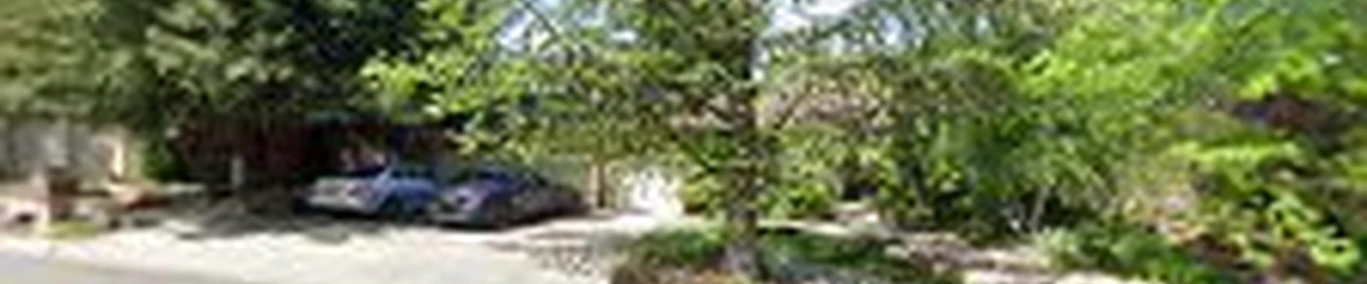 A&N Gardening & Landscaping