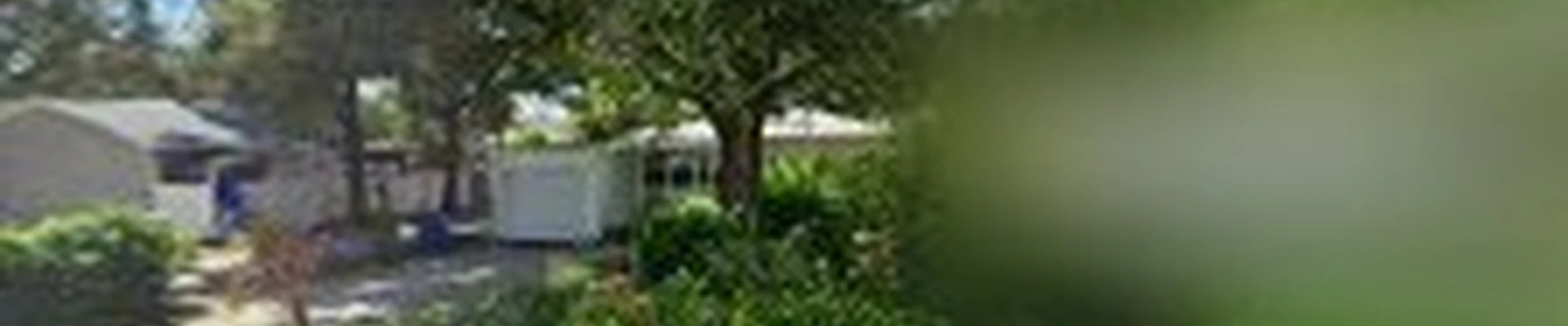 Step by Step Native Landscaping