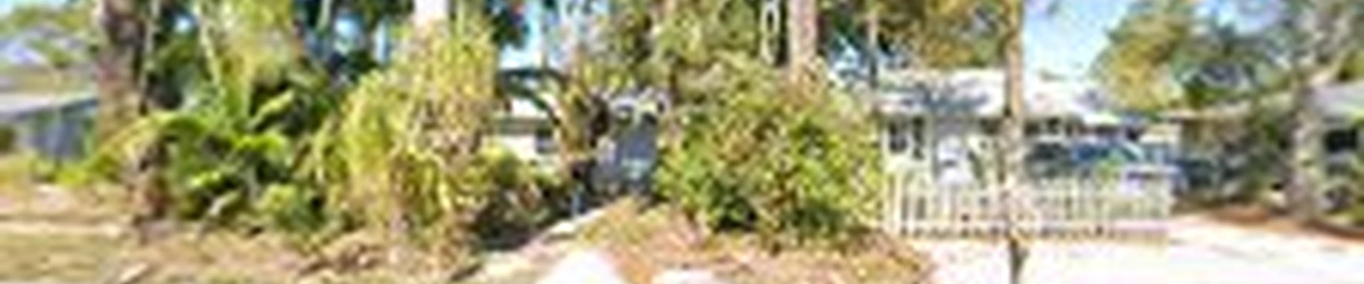 Blossom Tree & Landscape Service