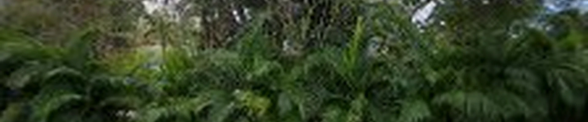 Somers Tree Service, LLC
