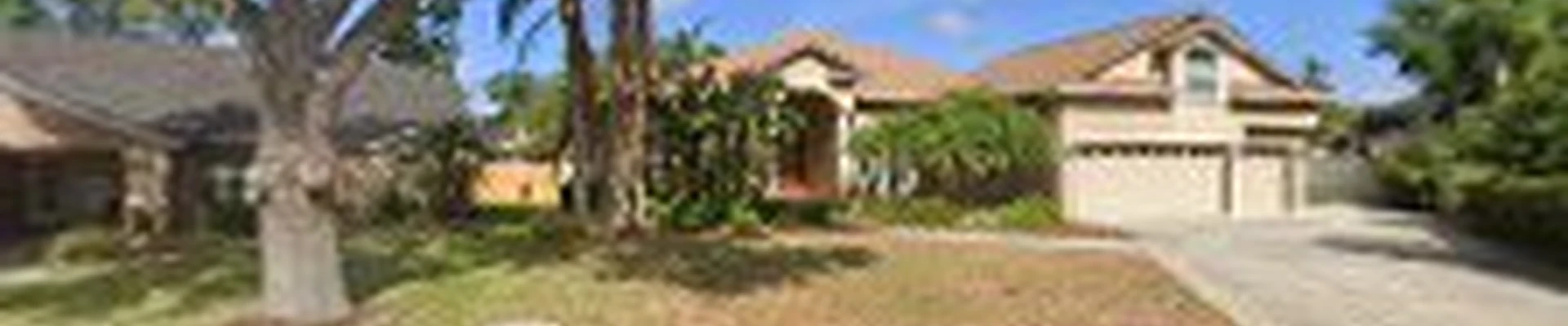 Lawn and Order Tree Service
