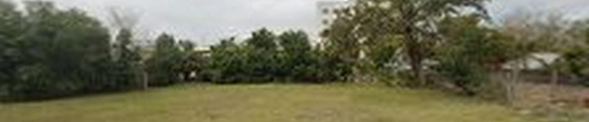 J&B trees and landscaping