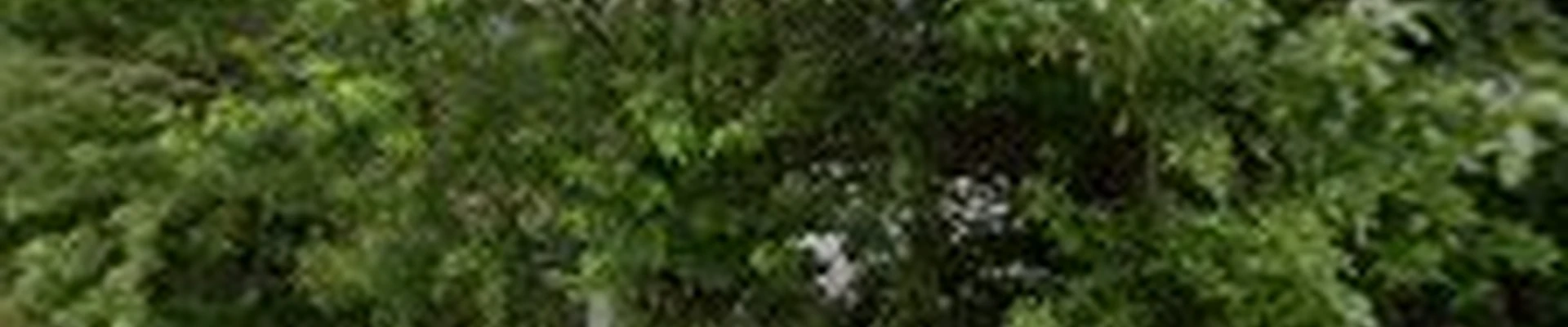 Safe-Fer Landscaping