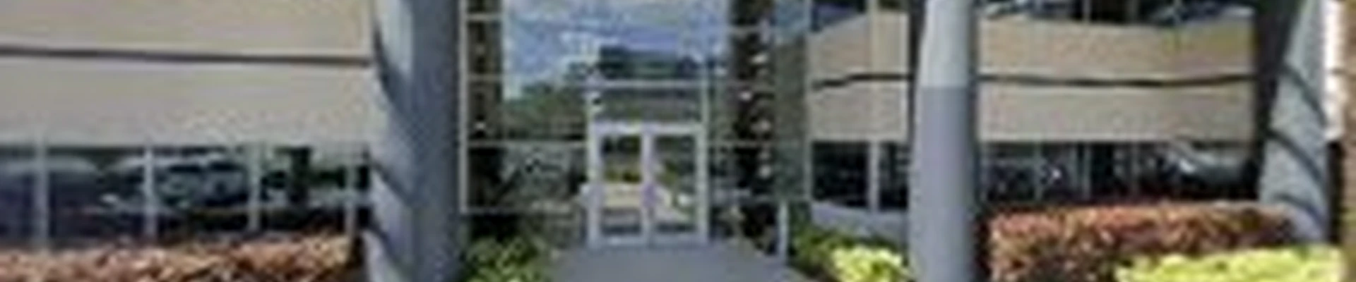 Dumpster Rental Tampa Plus