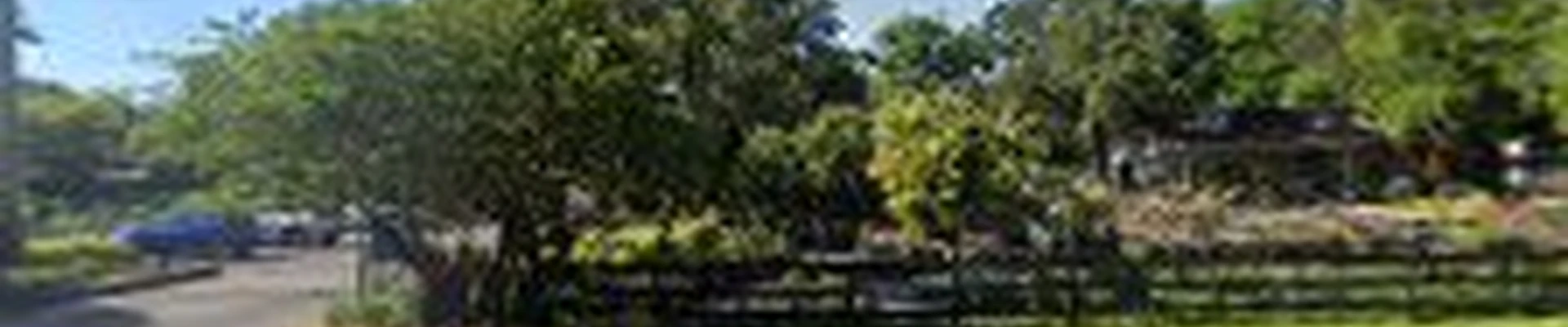 Landscape Creations