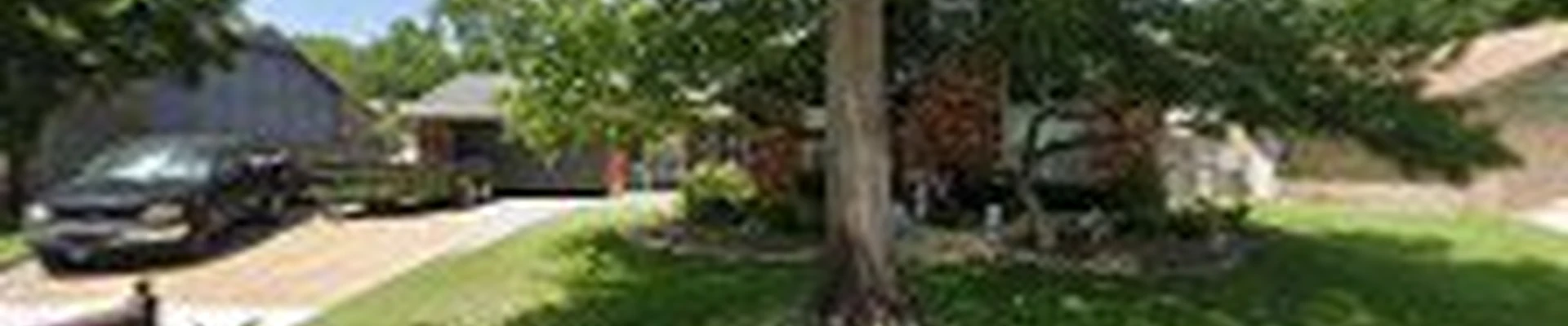 Custom Tree Care & Landscaping LLC