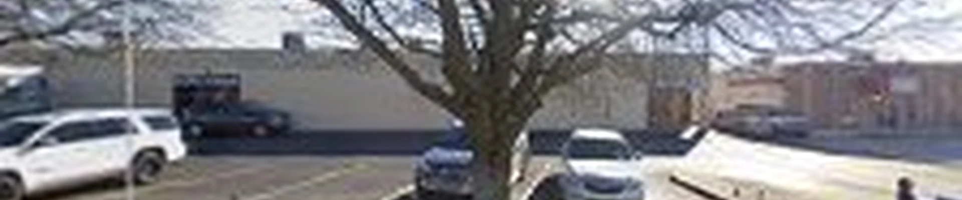 Cehand Tree service and Land Clearing