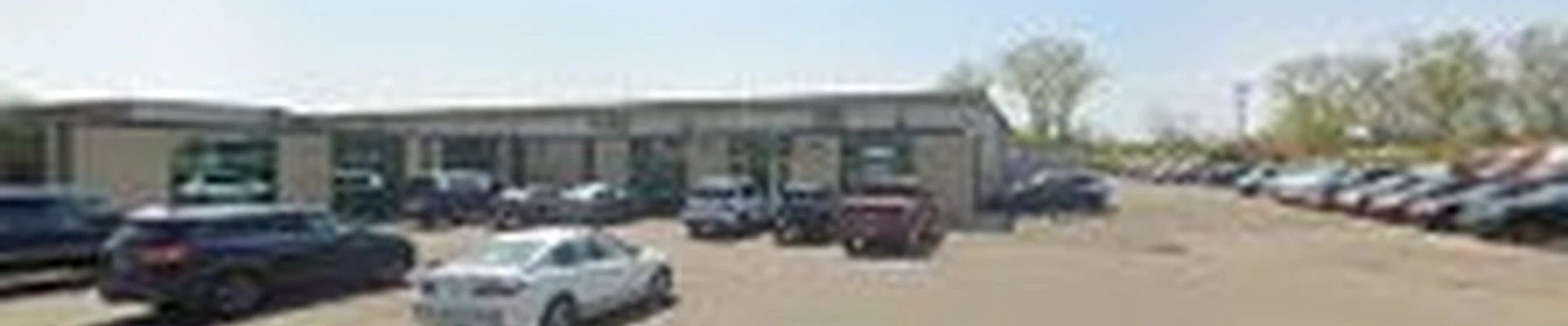 Shadywood Tree Experts & Landscaping