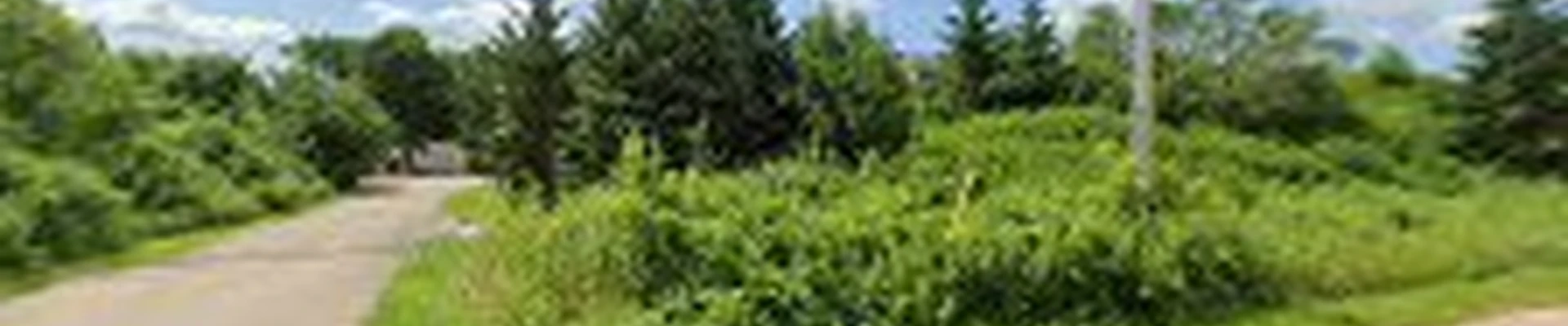 Hawkins Tree and Landscaping