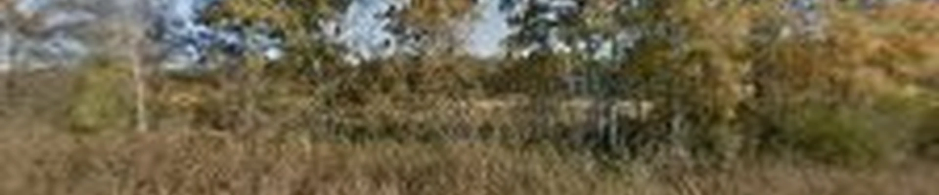 Caola Landscape Services