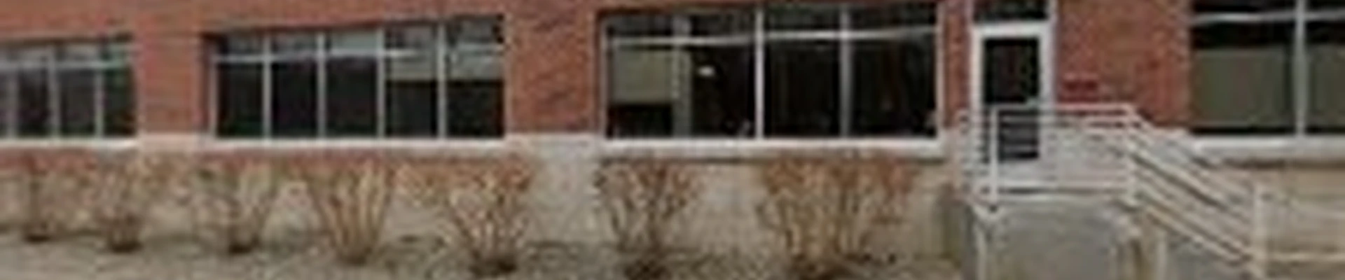 Tree Pro's Tree Service & Landscaping