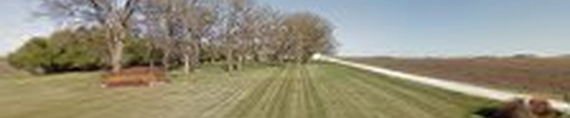 Peters' Patio & Landscape
