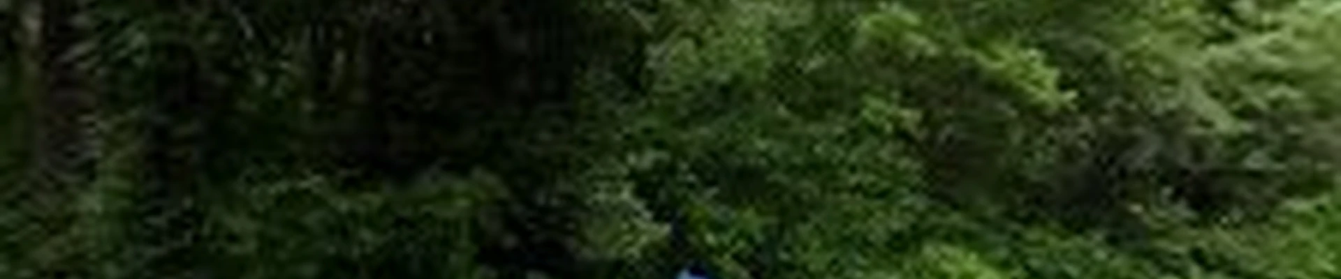 Architectural Landscape Design, Inc.