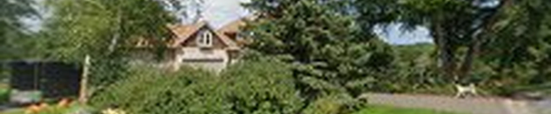 Renew Landscaping