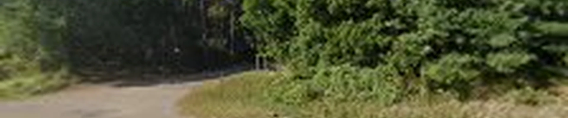 Holm & Olson Landscape Design