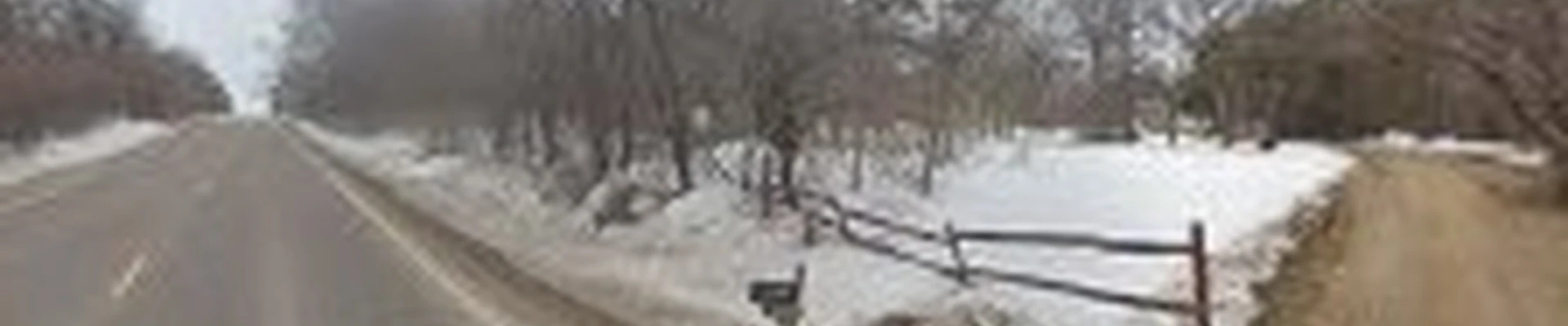 Wildwood Landscapes