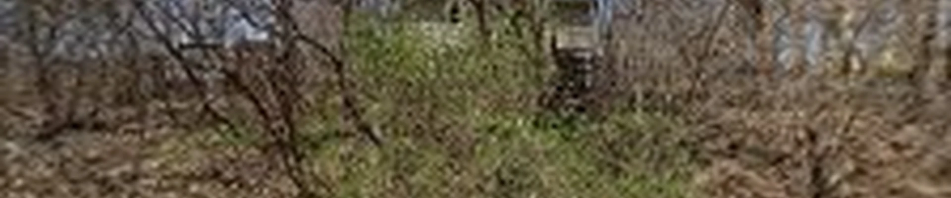 Landscape Charlie Inc