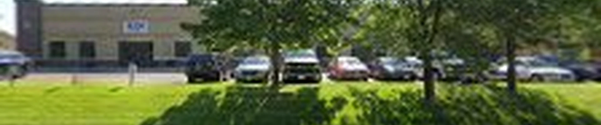 Spear's Landscape Inc
