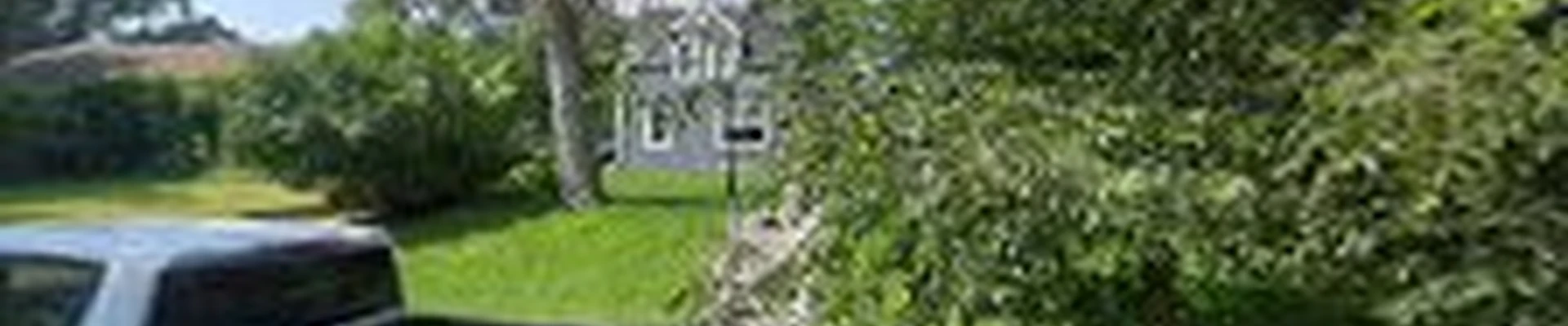 Trees Unlimited