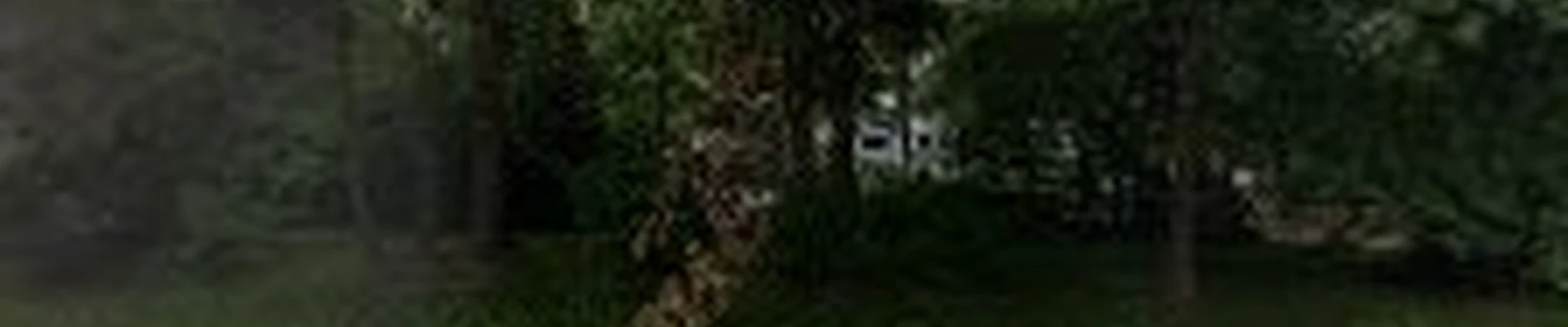 Minnesota Landscaping and Lawn Services
