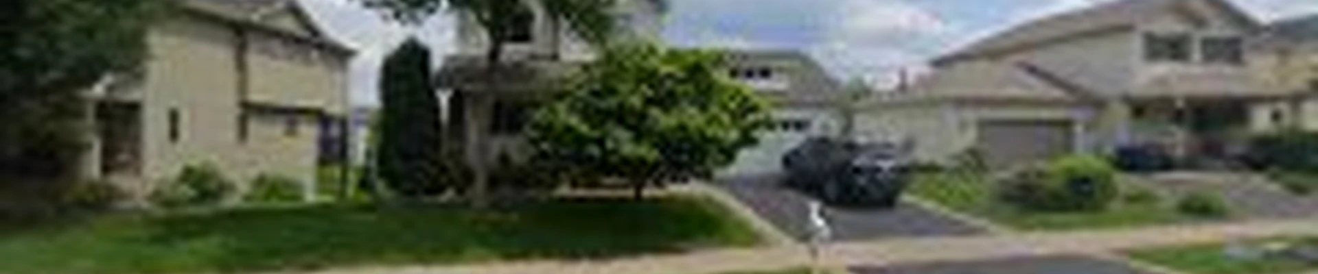 Urban Landscaping Solutions