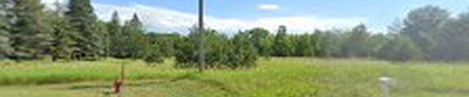 Natural Endeavors Landscaping