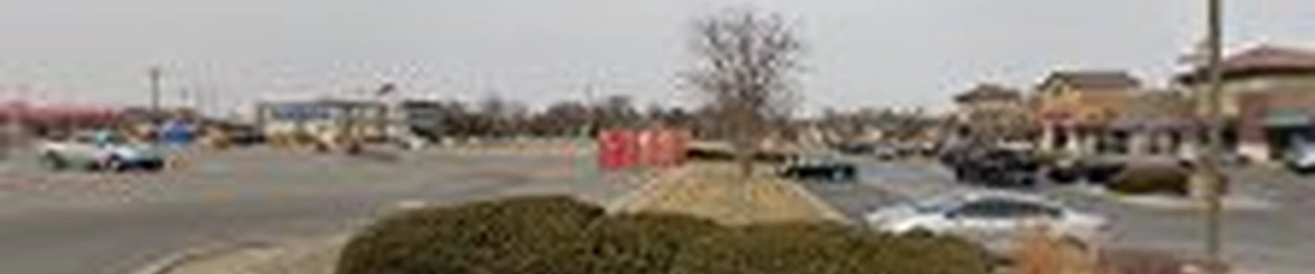 Mighty Lawns and Landscaping