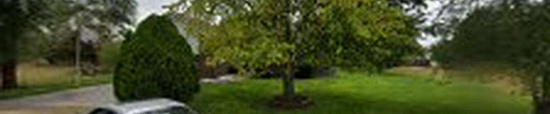 Madfield Lawn & Landscaping