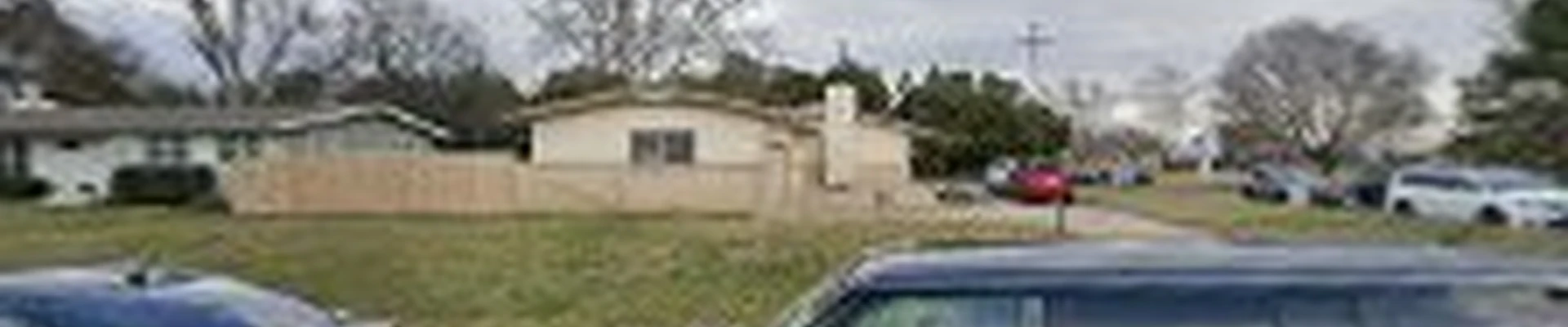Green Shark Landscaping