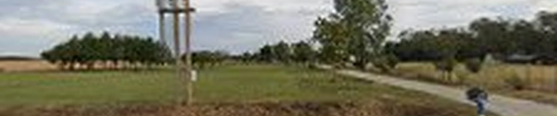 Nexgen landscaping