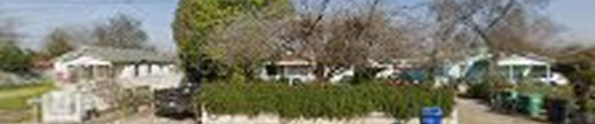 Icos Gardening Landscape