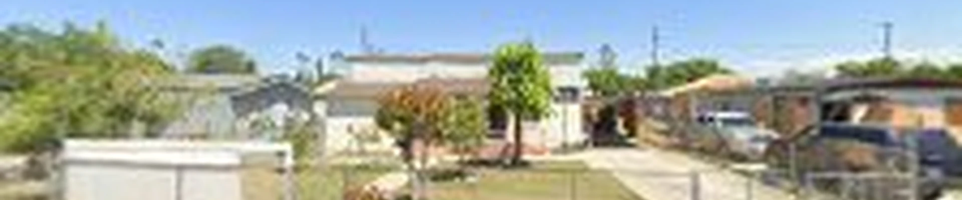 Lisandro landscaping