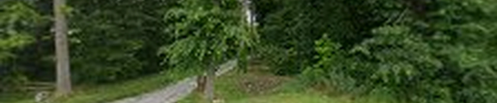 Bradley Landscaping & Design