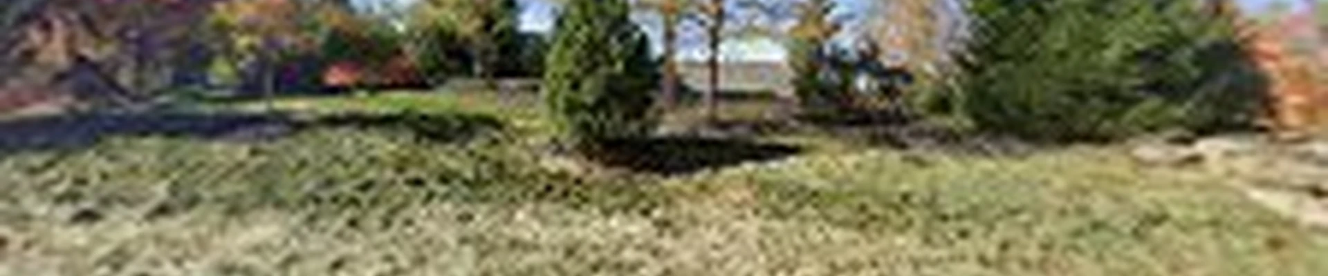 A New Image Landscape, Inc.