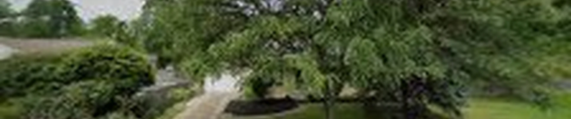 Phoenix Lawncare & Landscaping llc