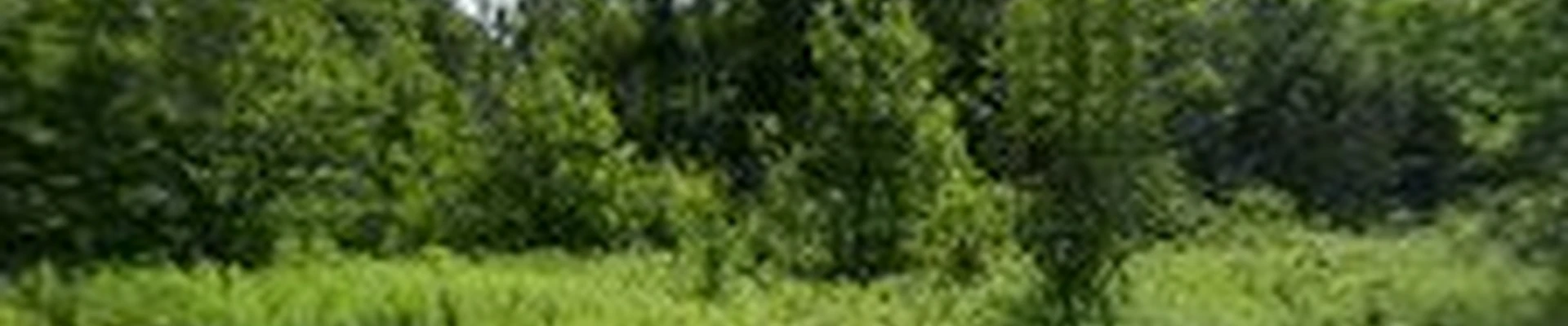 RGM Landscaping LLC