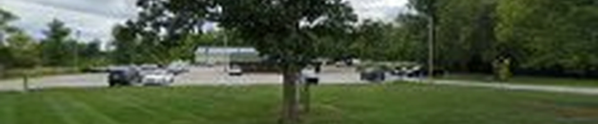 GoGreen Landscaping LLC