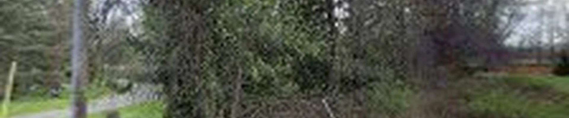 Cactus Jack Landscaping, Inc.