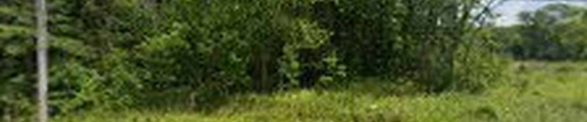 Dohner Landscaping