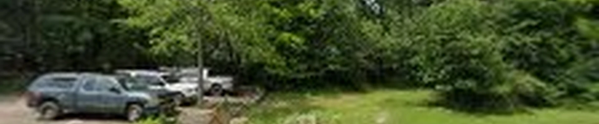 Nick's Tree Service and Nicks Hardscape
