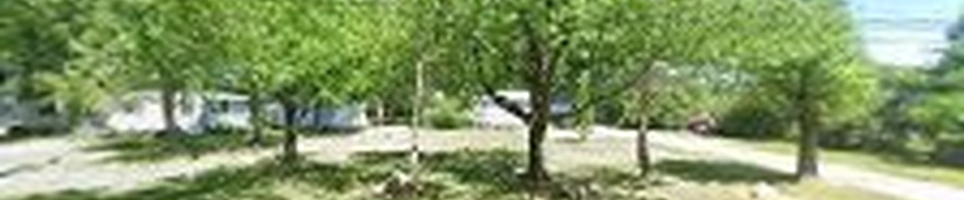 DSM Landscaping & Lawn Care LLC