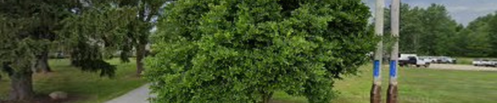 Northern Buckeye Lawn & Landscape