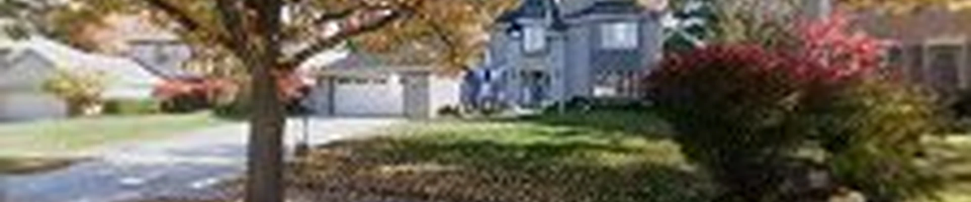 Suburban Turf Pros