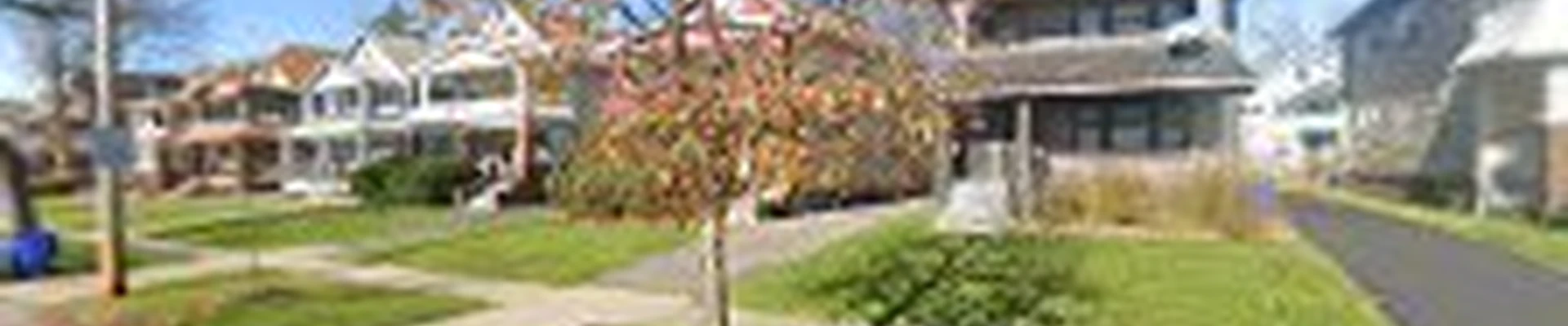 Best landscapers